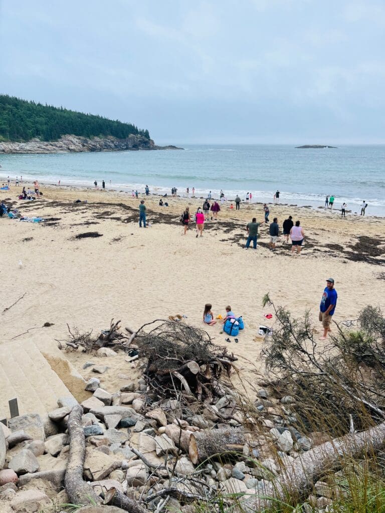Sand Beach swim- a must in a family road trip to Acadia