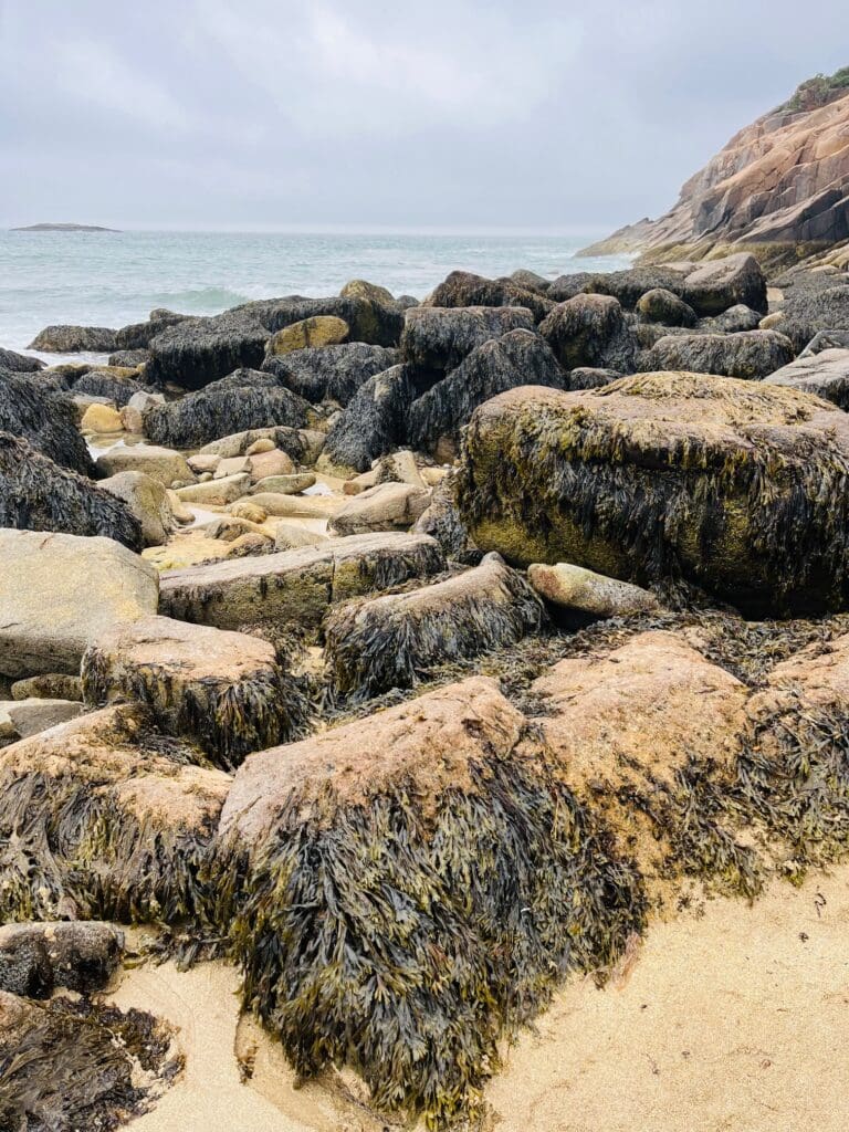 Sand Beach Acadia NP rocks 