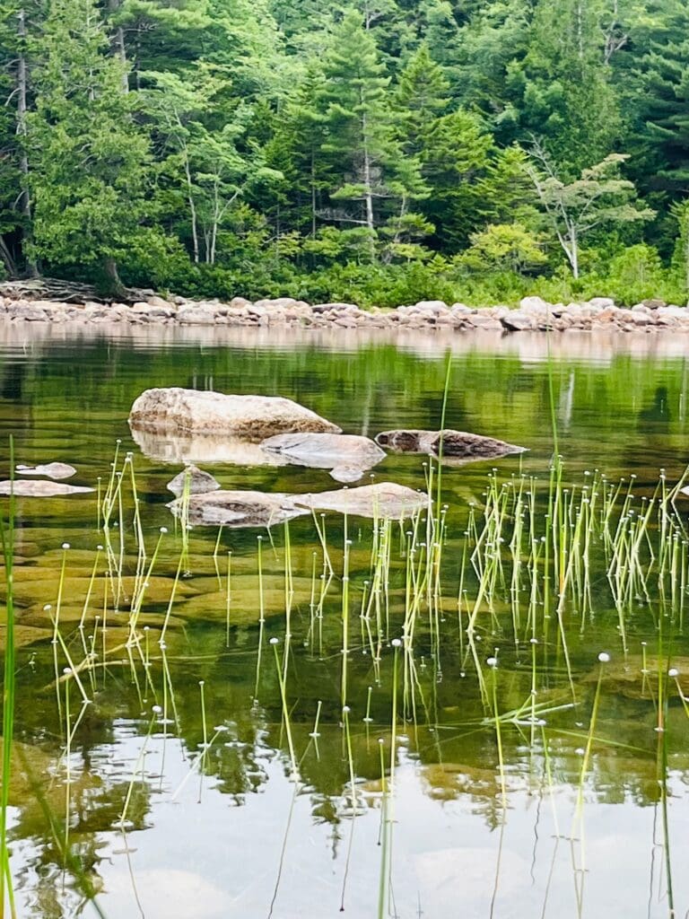 Bubble Pond in Acadia NP Maine