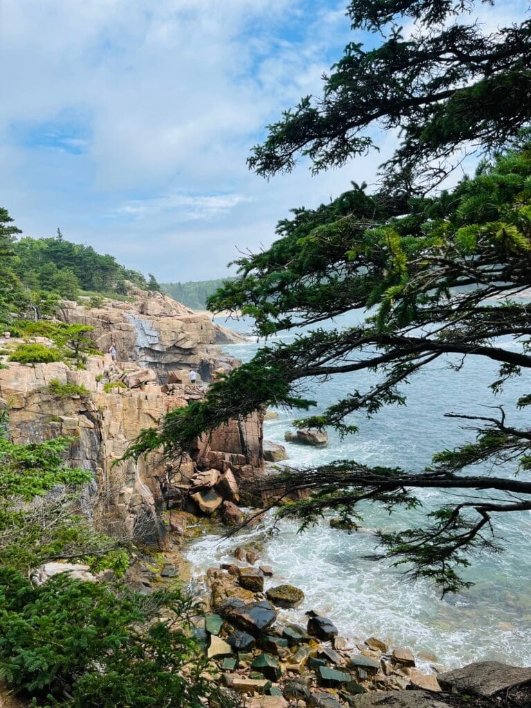 Acadia NP Views