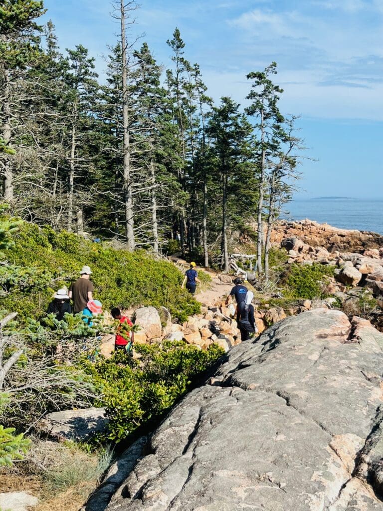 Hiking Beech Mt. trail - family hiking
