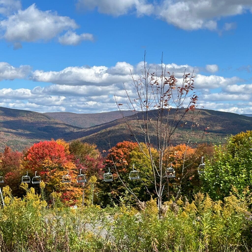 view from Belleayre Mountain in fall