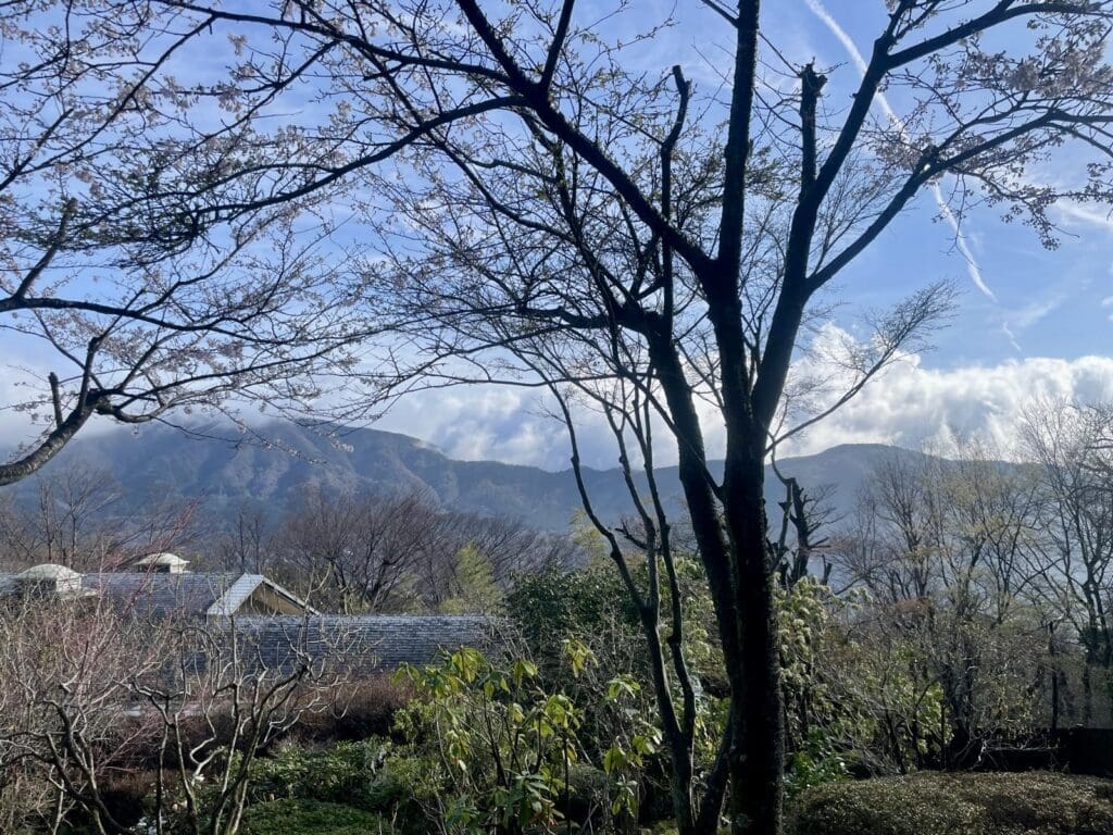 Ryokan and onsen experience in Hakone