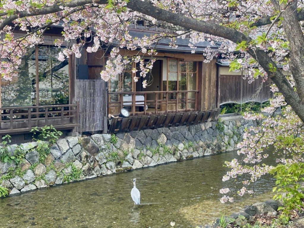 Traditional house in Kyoto, Japan