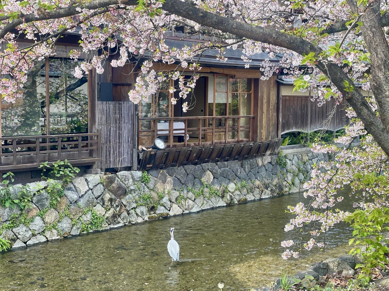 Traditional house in Kyoto, Japan